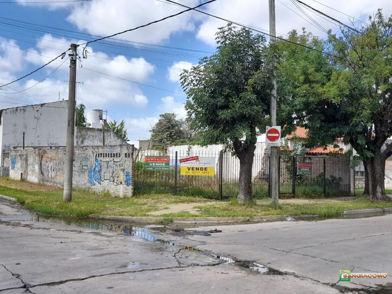 ZAPIOLA Y PATRICIOS
